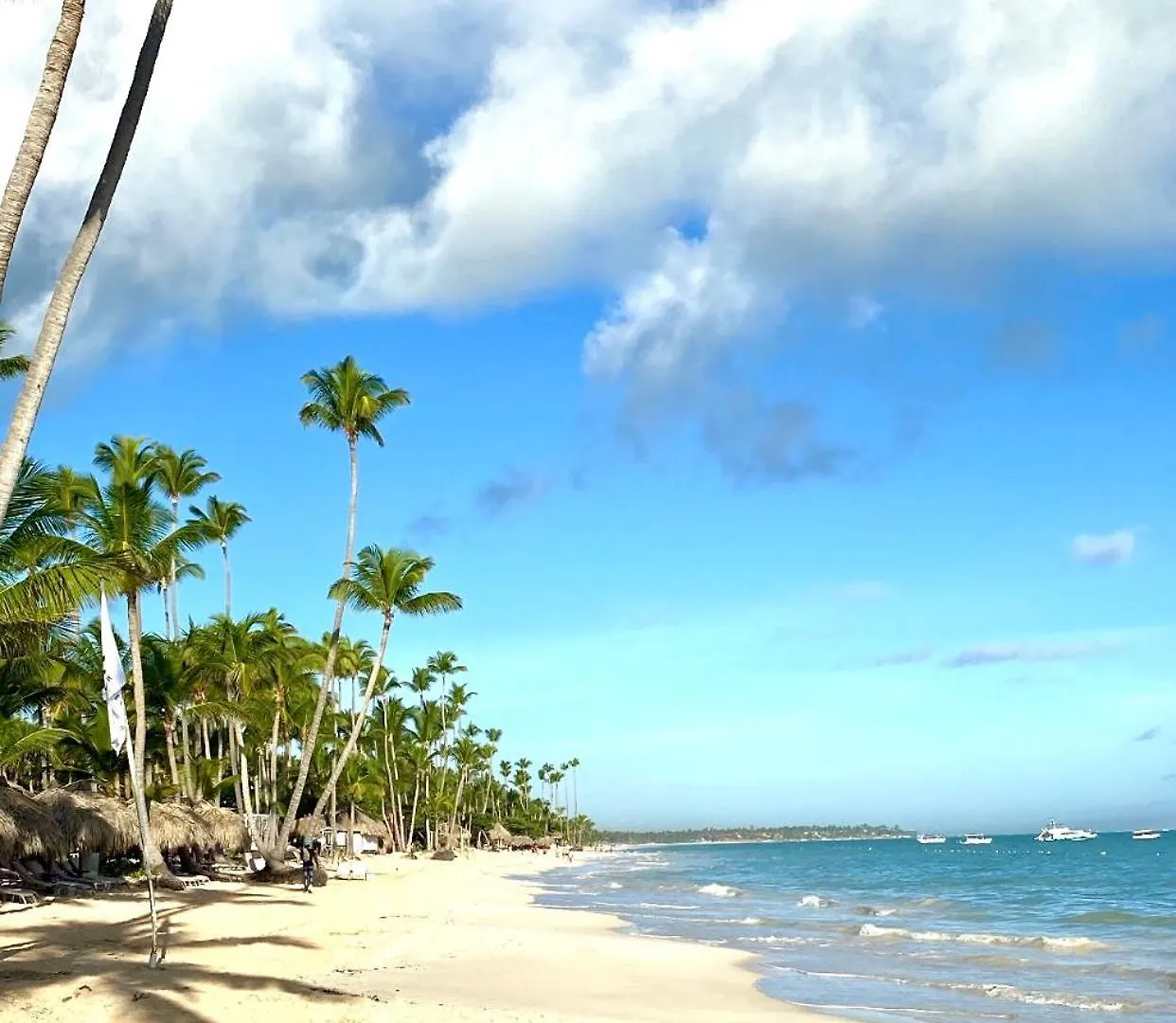 Central In Punta Cana Beach Life Rd Dominican Republic
