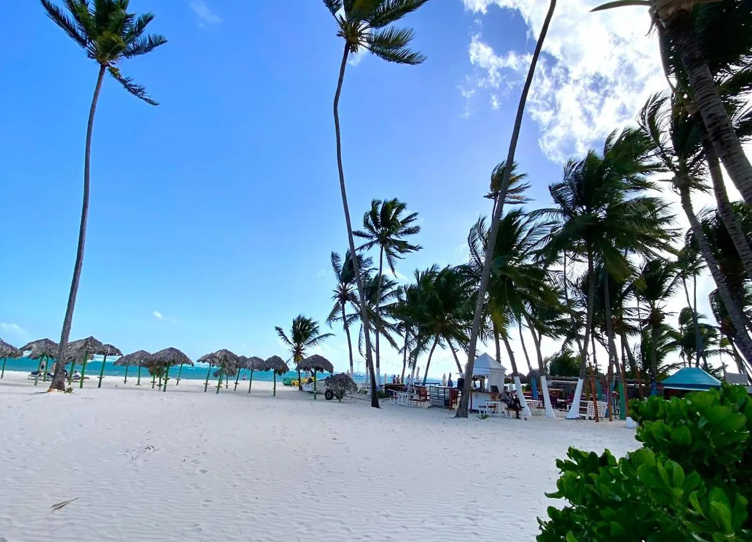 Central In Punta Cana Beach Life Rd 0*,  Dominican Republic